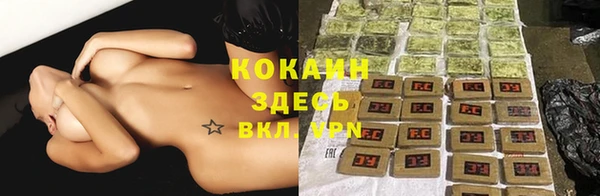 твердый Алексин