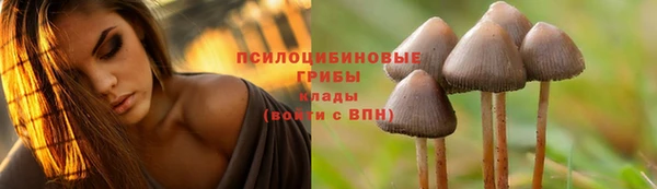 твердый Алексин
